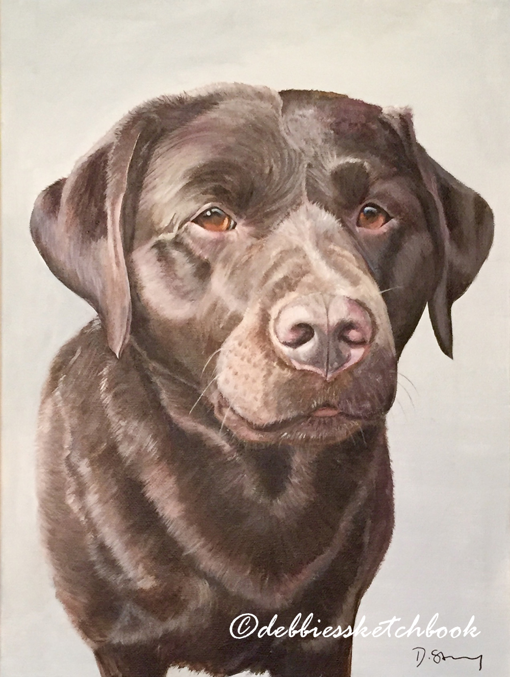 Acrylic painting of a Chocolate Labrador