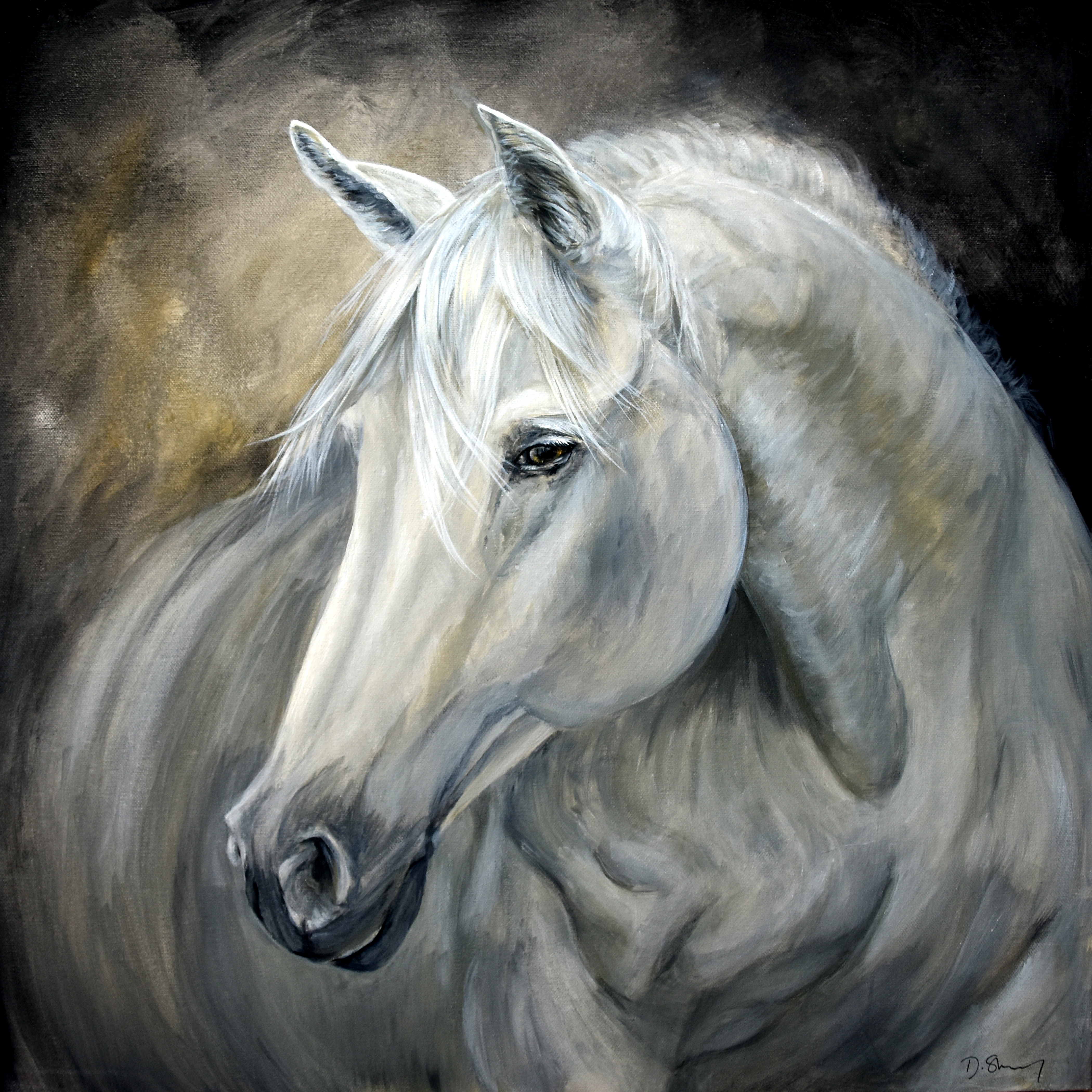 A painting of a white horse by Debbie Storey
